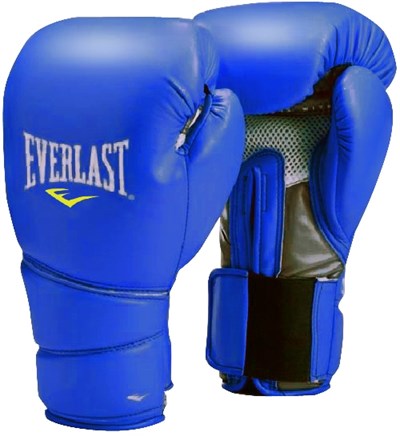 Боксёрские перчатки Everlast синие