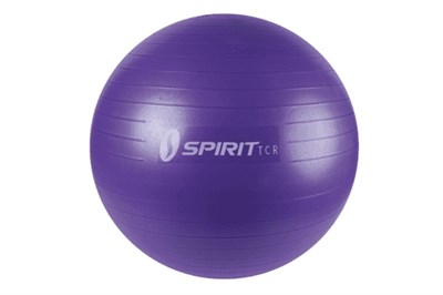 Гимнастический мяч 65 см Spirit Fitness M-02 - фото 44514