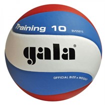 Волейбольный мяч Gala TRANING