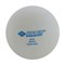 Мячики для настольного тенниса Donic Jade 6 штук, белый - фото 45605