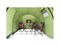 Палатка для кемпинга KSL Macon 6 Green - фото 49334