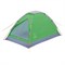 Трекинговая палатка Greenell Моби 2 V2 - фото 50957