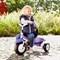 Детский трехколесный велосипед Kettler Funtrike Pablo - фото 51822