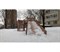 Зимняя деревянная горка MoyDvor Снежинка 2 - фото 92787
